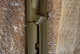 img_8523.jpeg