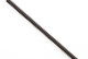 spring_no_logo.png